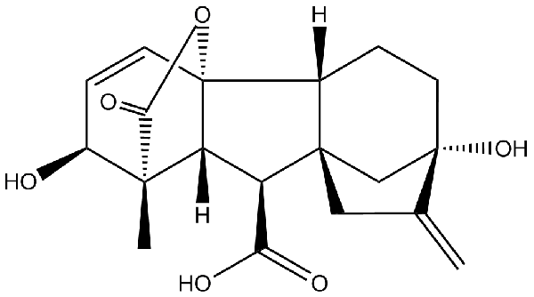 赤霉素GIBBERELLIC ACID，居然有這么神奇？